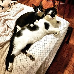 Meet your Posher, Angie